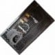 Century Star DL800 700w