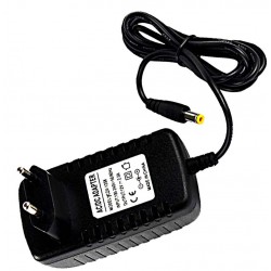 YCZX-1258 100-240v 50/60hz 12v 2.0A